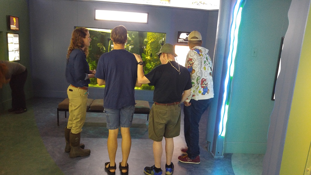 A group of people in a room looking at a fish tank.