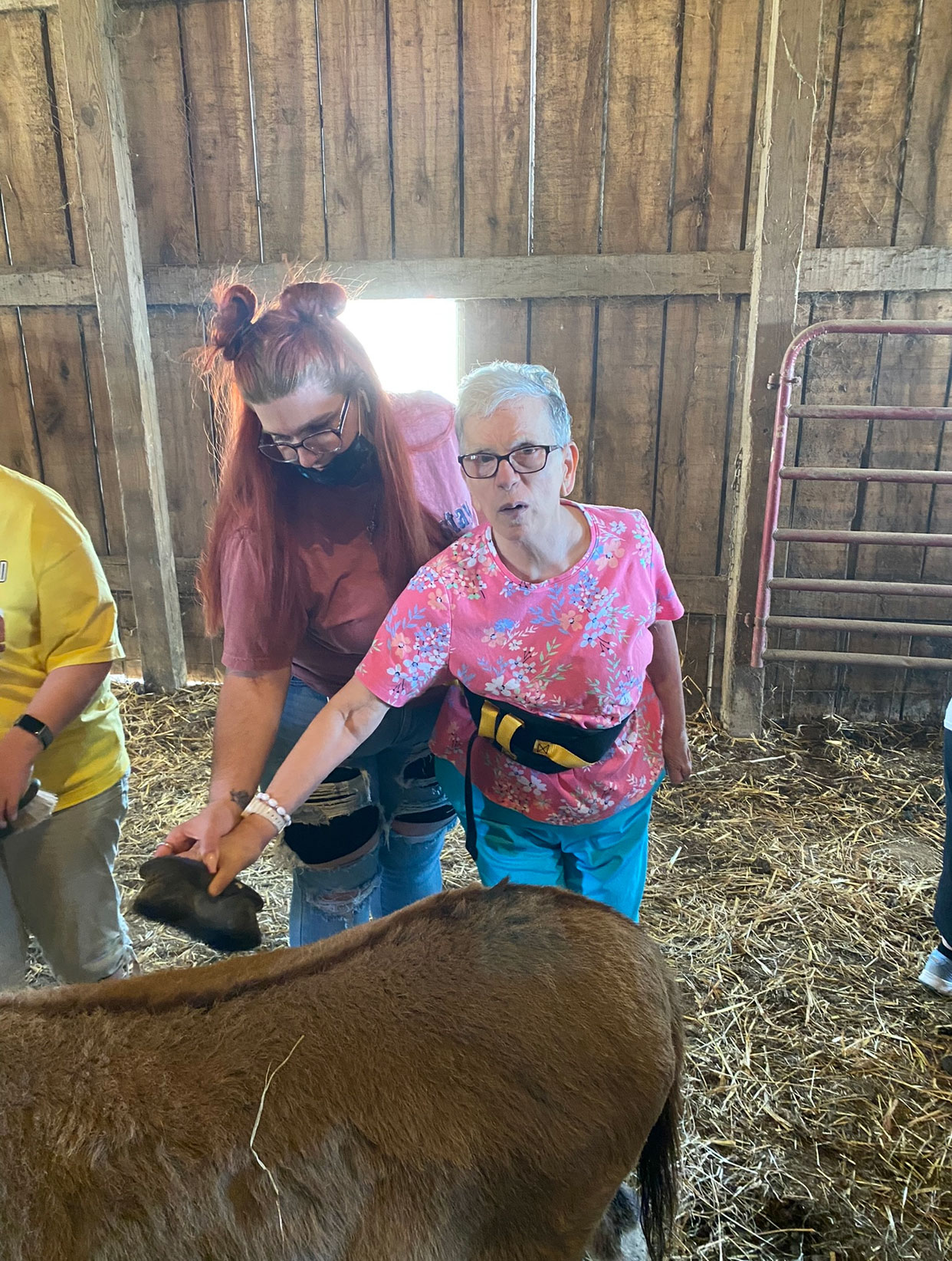 People petting a large brown animal in barn.